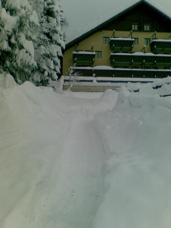 Nevesole Folgarida Resort Aparthotel Екстер'єр фото